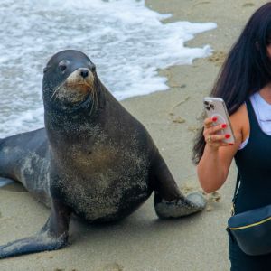 seal-cove-people-selfie